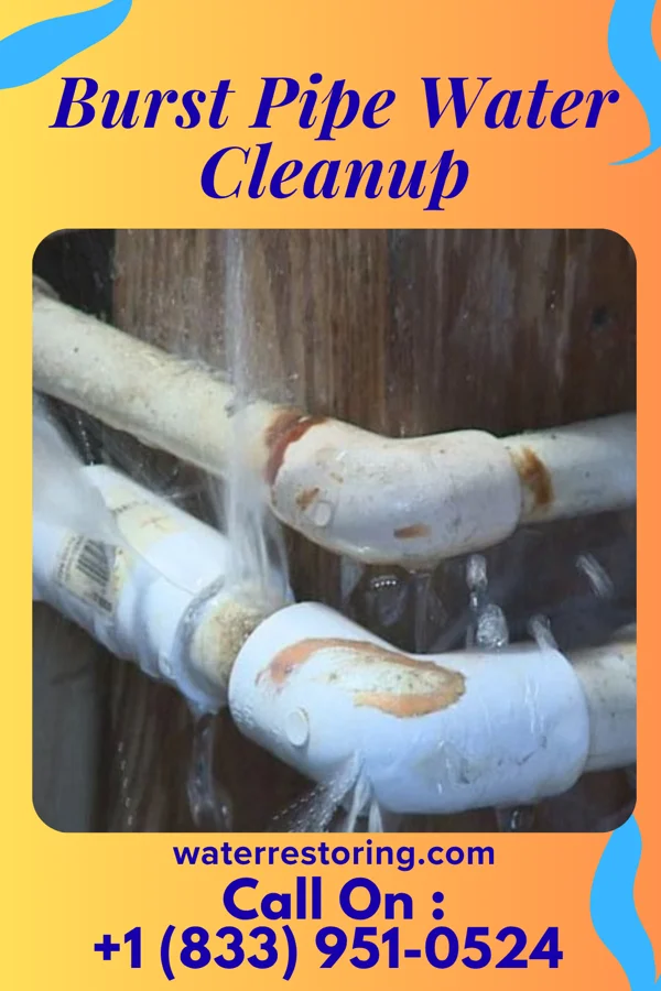 Burst Pipe Water Cleanup in Arrowsmith, IL