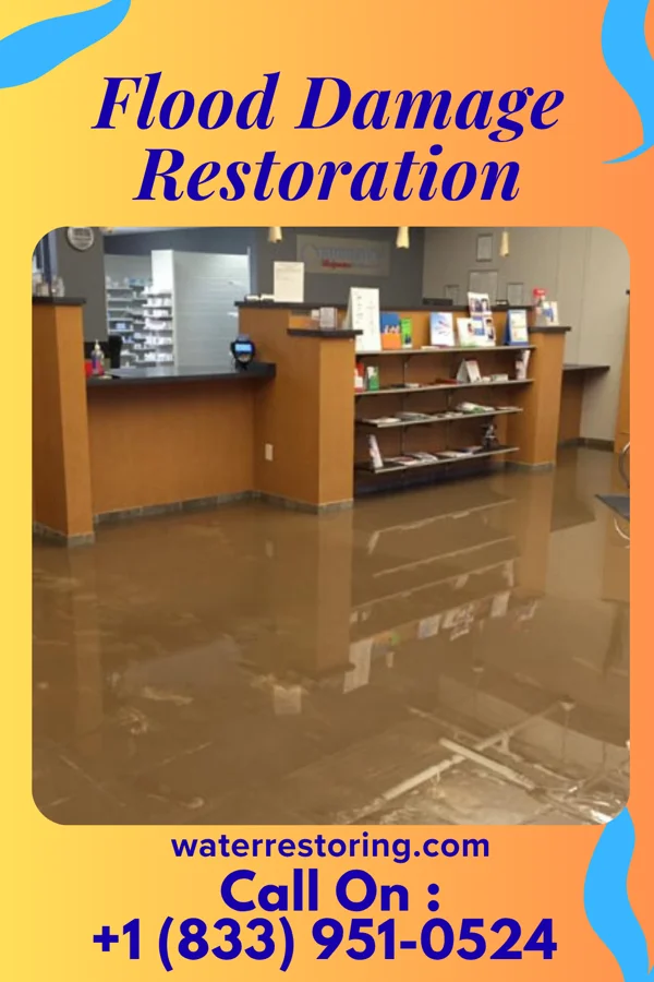 Flood Damage Restoration in Arrowsmith, IL