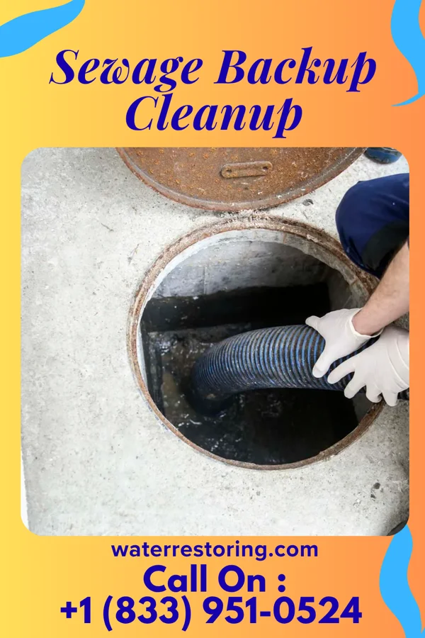 Sewage Backup Cleanup in Arrowsmith, IL