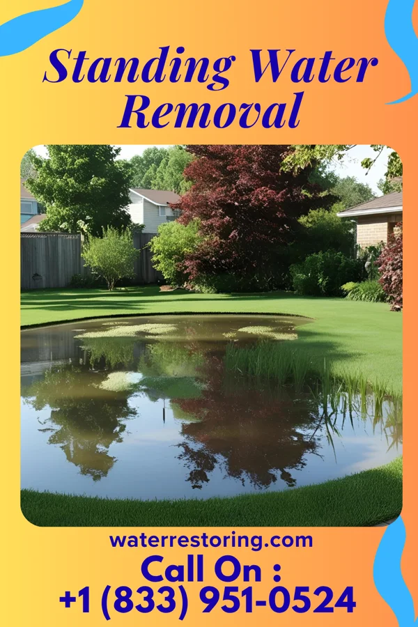 Standing Water Removal in Arrowsmith, IL